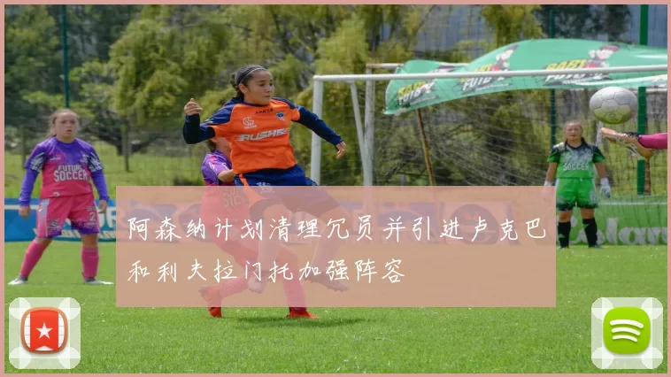 阿森纳计划清理冗员并引进卢克巴和利夫拉门托加强阵容